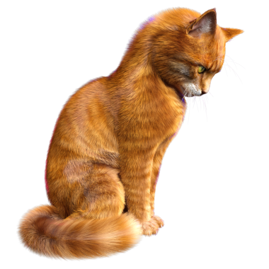 3D görüntülenmiş sevimli kızıl kedi şeffaf arka planda izole edildi