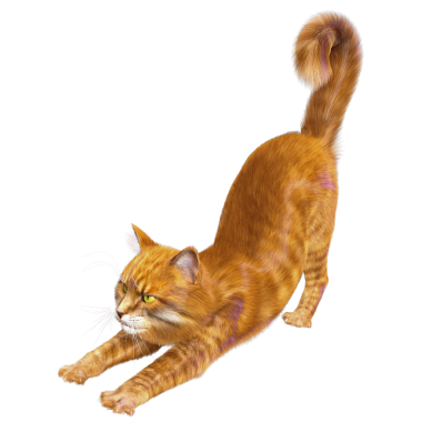 3D görüntülenmiş sevimli kızıl kedi şeffaf arka planda izole edildi