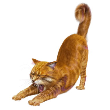 3D görüntülenmiş sevimli kızıl kedi şeffaf arka planda izole edildi