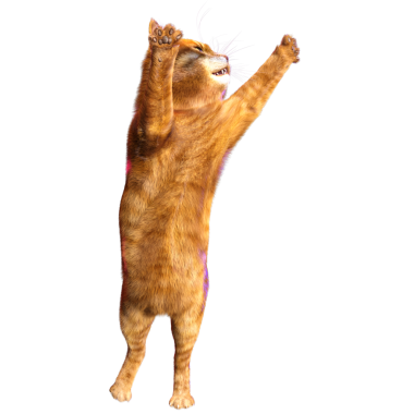 3D görüntülenmiş sevimli kızıl kedi şeffaf arka planda izole edildi