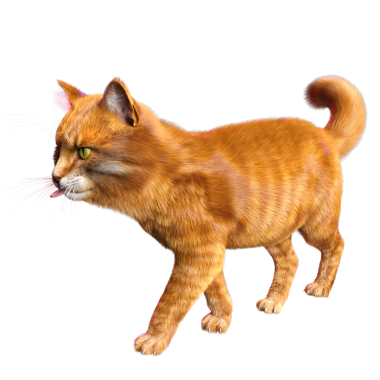 3D görüntülenmiş sevimli kızıl kedi şeffaf arka planda izole edildi