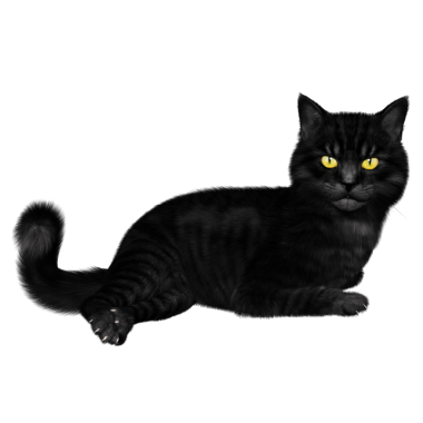 3D oluşturulmuş fantezi kara kedi şeffaf arka planda izole