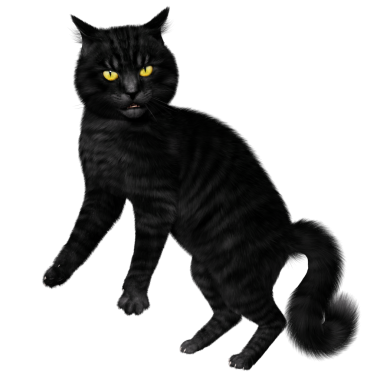 3D oluşturulmuş fantezi kara kedi şeffaf arka planda izole