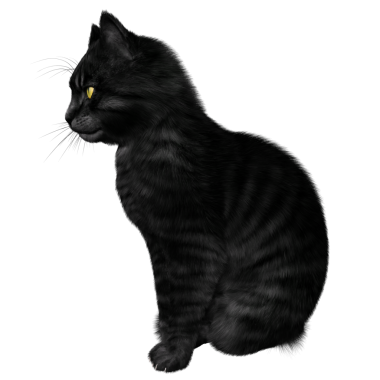 3D oluşturulmuş fantezi kara kedi şeffaf arka planda izole