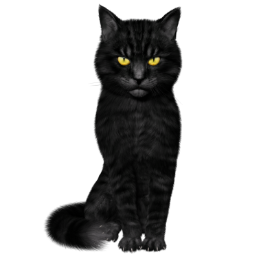 3D oluşturulmuş fantezi kara kedi şeffaf arka planda izole