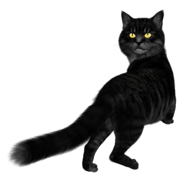 3D oluşturulmuş fantezi kara kedi şeffaf arka planda izole