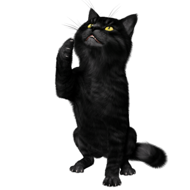 3D oluşturulmuş fantezi kara kedi şeffaf arka planda izole