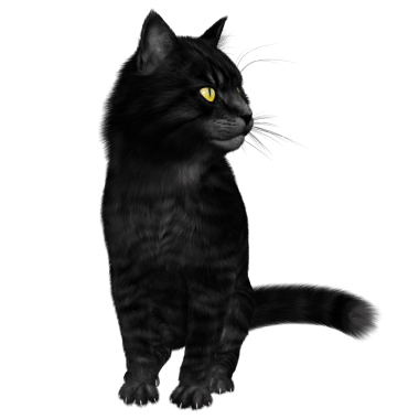 3D oluşturulmuş fantezi kara kedi şeffaf arka planda izole