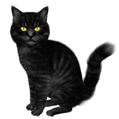 3D oluşturulmuş fantezi kara kedi şeffaf arka planda izole