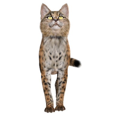 3 Boyutlu sevimli Savannah kedisi şeffaf arka planda izole edilmiş