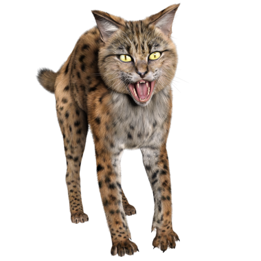 3 Boyutlu sevimli Savannah kedisi şeffaf arka planda izole edilmiş