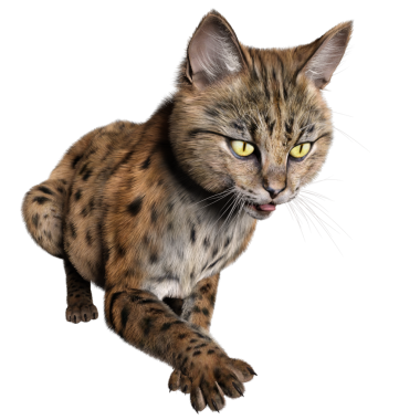 3 Boyutlu sevimli Savannah kedisi şeffaf arka planda izole edilmiş