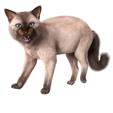 Şeffaf arkaplanda 3 boyutlu sevimli Siyam kedisi izole edilmiş