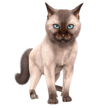 Şeffaf arkaplanda 3 boyutlu sevimli Siyam kedisi izole edilmiş