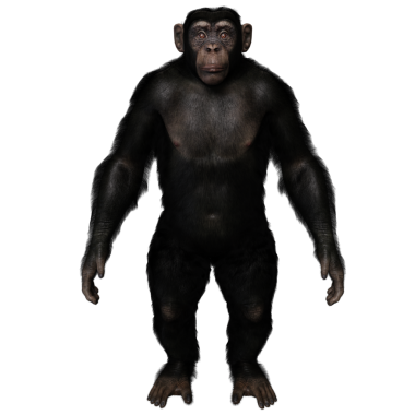 3 boyutlu, şeffaf bir arkaplanda izole edilmiş sevimli bir şempanzenin çizimi.