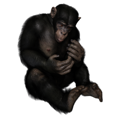 3 boyutlu, şeffaf bir arkaplanda izole edilmiş sevimli bir şempanzenin çizimi.