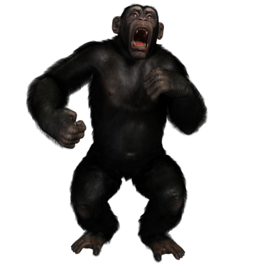 3 boyutlu, şeffaf bir arkaplanda izole edilmiş sevimli bir şempanzenin çizimi.