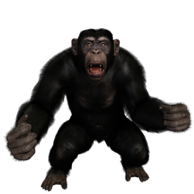 3 boyutlu, şeffaf bir arkaplanda izole edilmiş sevimli bir şempanzenin çizimi.