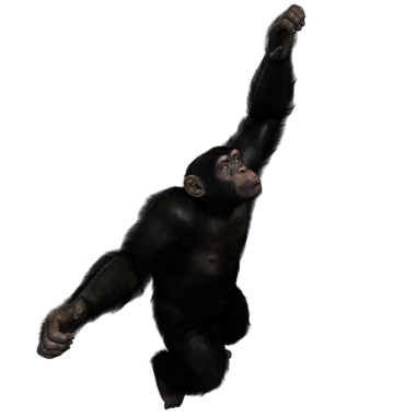 3 boyutlu, şeffaf bir arkaplanda izole edilmiş sevimli bir şempanzenin çizimi.