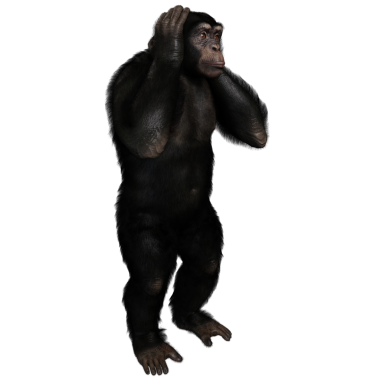 3 boyutlu, şeffaf bir arkaplanda izole edilmiş sevimli bir şempanzenin çizimi.