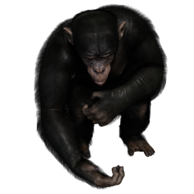 3 boyutlu, şeffaf bir arkaplanda izole edilmiş sevimli bir şempanzenin çizimi.