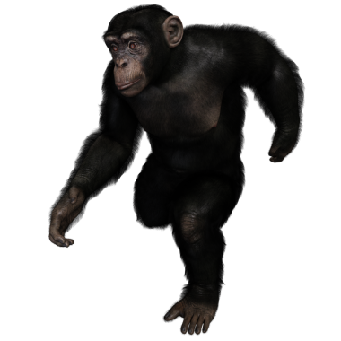 3 boyutlu, şeffaf bir arkaplanda izole edilmiş sevimli bir şempanzenin çizimi.