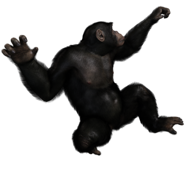 3 boyutlu, şeffaf bir arkaplanda izole edilmiş sevimli bir şempanzenin çizimi.