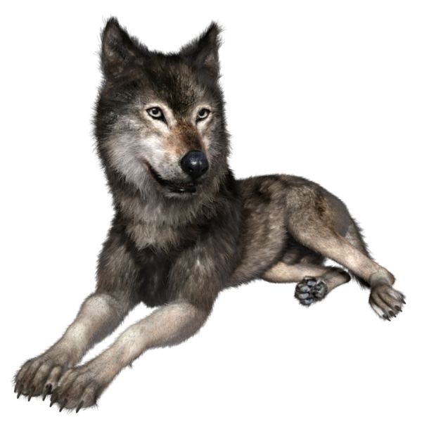 Şeffaf arkaplanda 3 boyutlu kahverengi kurt izole edildi