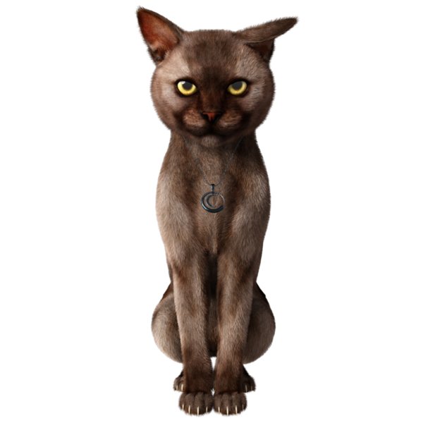 3 boyutlu sevimli kedi şeffaf arkaplanda izole edildi 