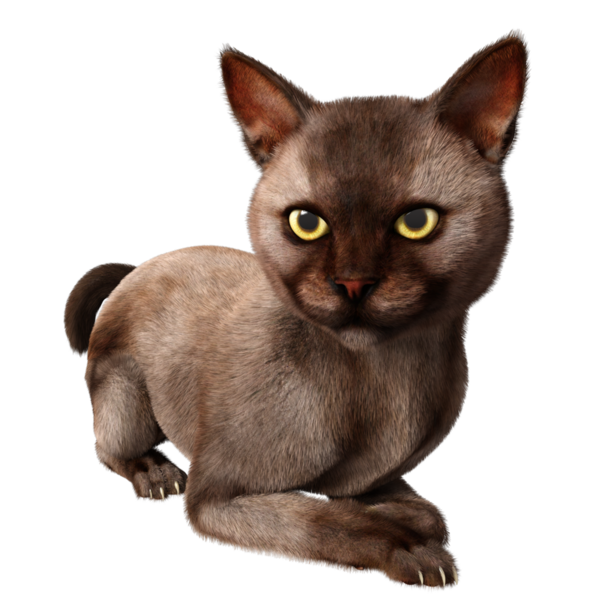 3 boyutlu sevimli kedi şeffaf arkaplanda izole edildi 