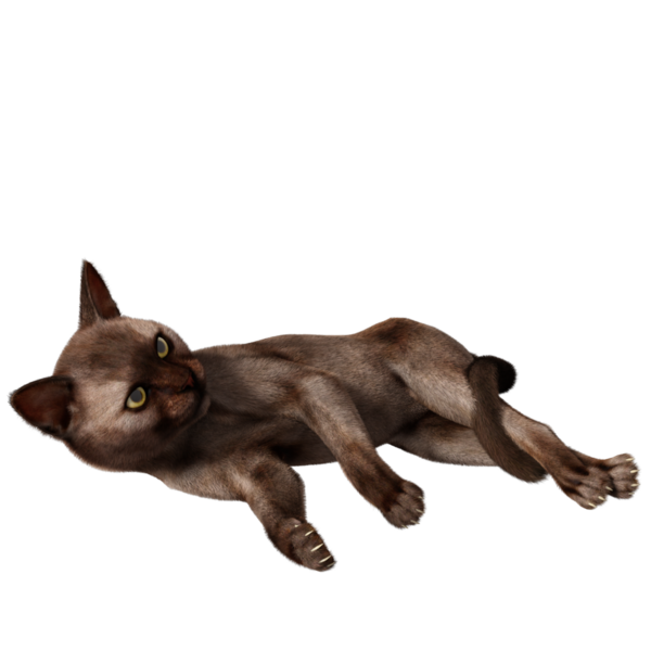 3 boyutlu sevimli kedi şeffaf arkaplanda izole edildi 