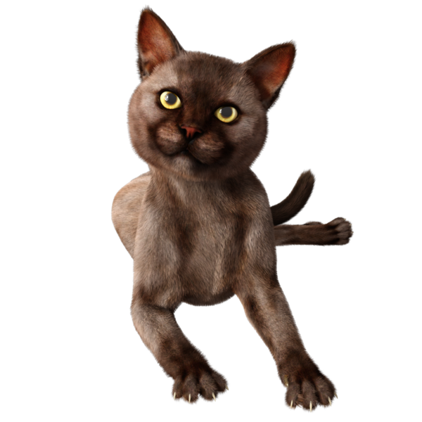 3 boyutlu sevimli kedi şeffaf arkaplanda izole edildi 