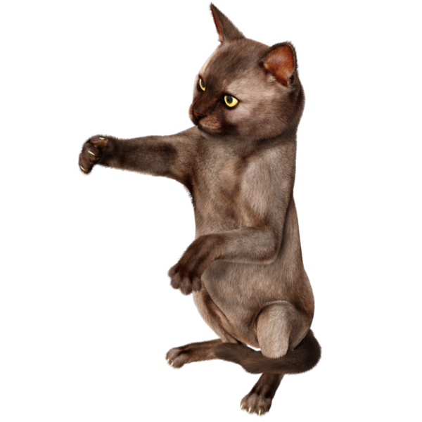 3 boyutlu sevimli kedi şeffaf arkaplanda izole edildi 