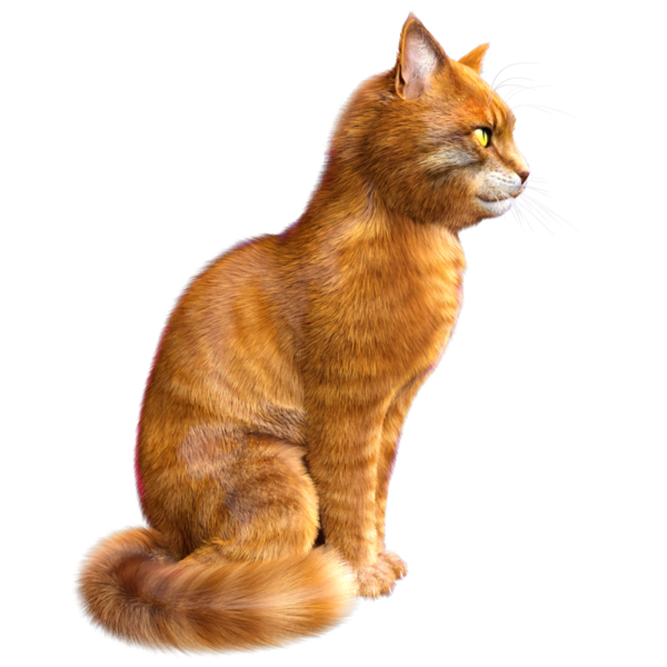 3D görüntülenmiş sevimli kızıl kedi şeffaf arka planda izole edildi