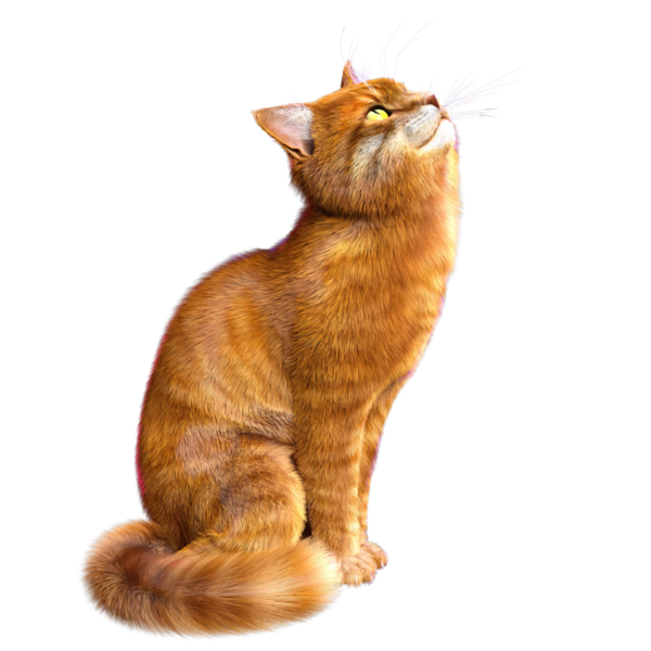 3D görüntülenmiş sevimli kızıl kedi şeffaf arka planda izole edildi