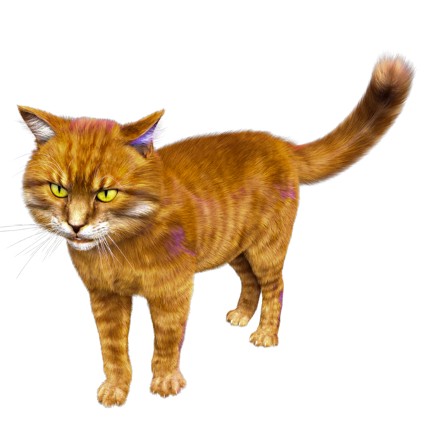 3D görüntülenmiş sevimli kızıl kedi şeffaf arka planda izole edildi