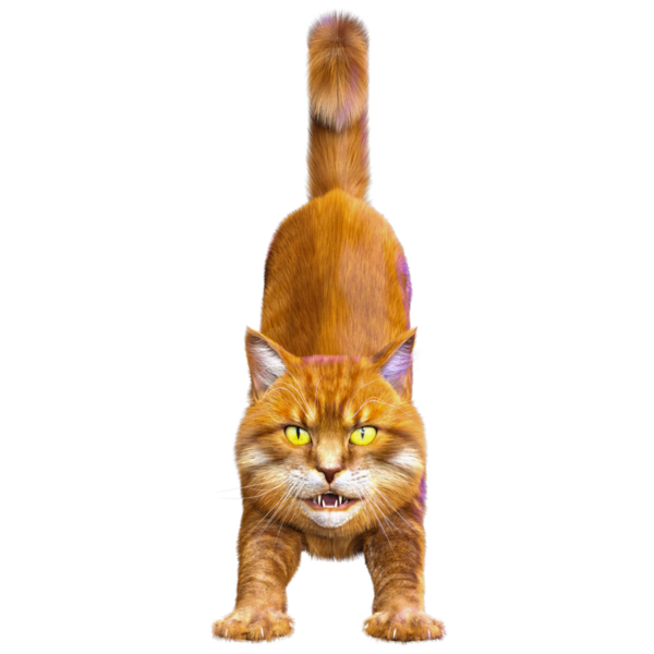 3D görüntülenmiş sevimli kızıl kedi şeffaf arka planda izole edildi