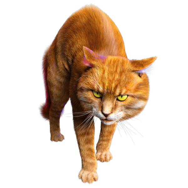 3D görüntülenmiş sevimli kızıl kedi şeffaf arka planda izole edildi