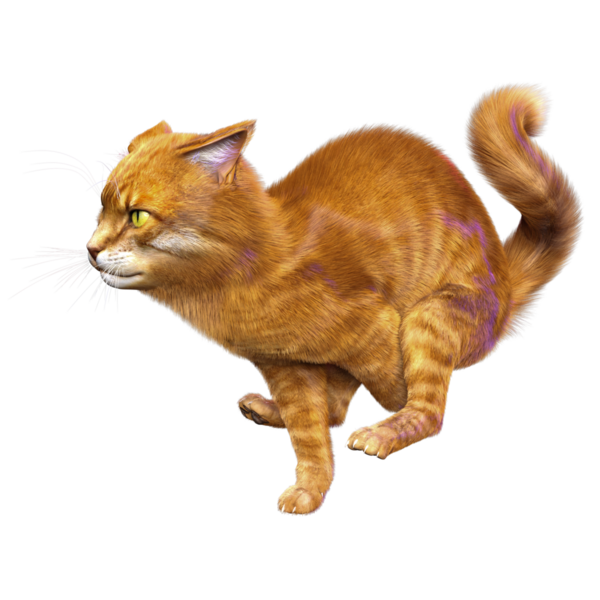 3D görüntülenmiş sevimli kızıl kedi şeffaf arka planda izole edildi