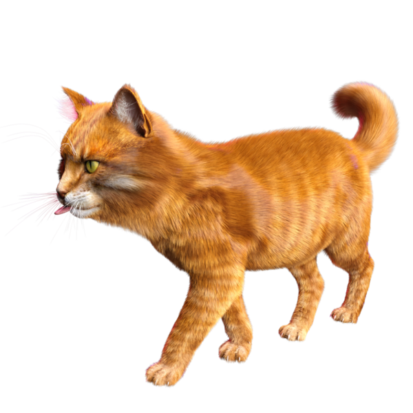 3D görüntülenmiş sevimli kızıl kedi şeffaf arka planda izole edildi