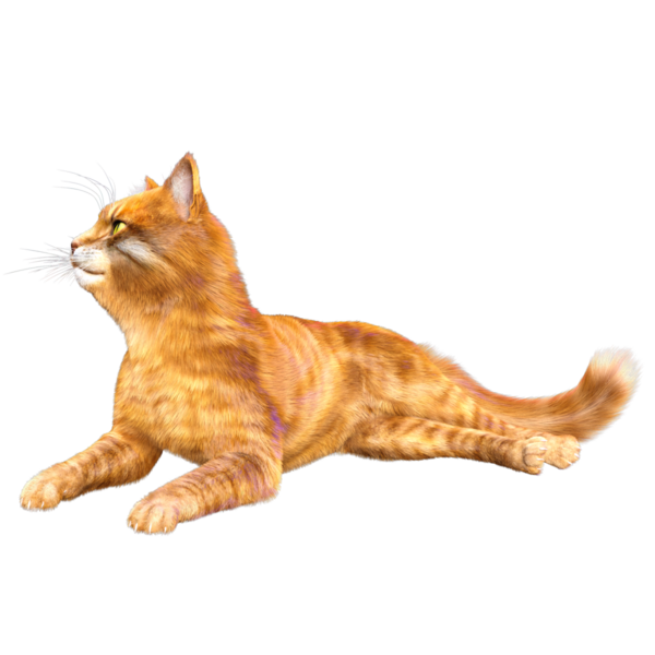 3D görüntülenmiş sevimli kızıl kedi şeffaf arka planda izole edildi