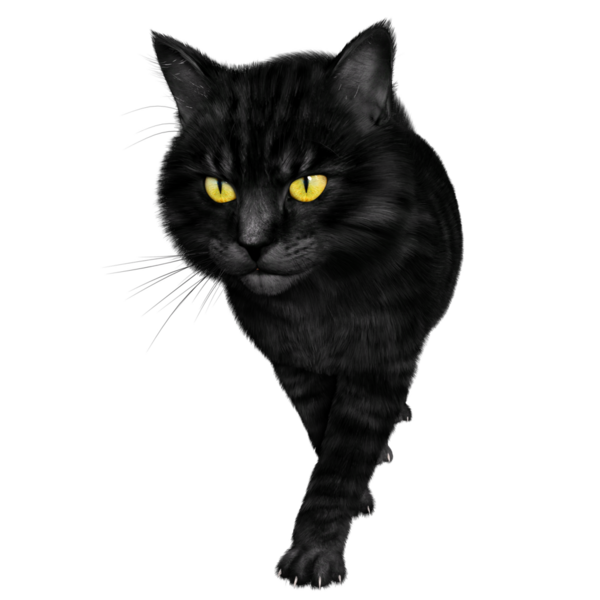 3D oluşturulmuş fantezi kara kedi şeffaf arka planda izole