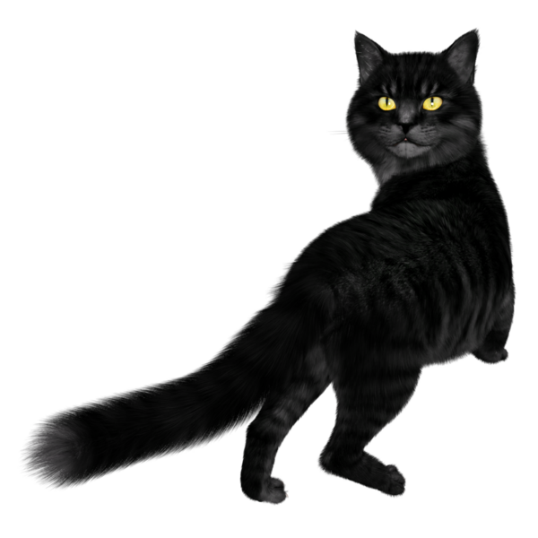 3D oluşturulmuş fantezi kara kedi şeffaf arka planda izole