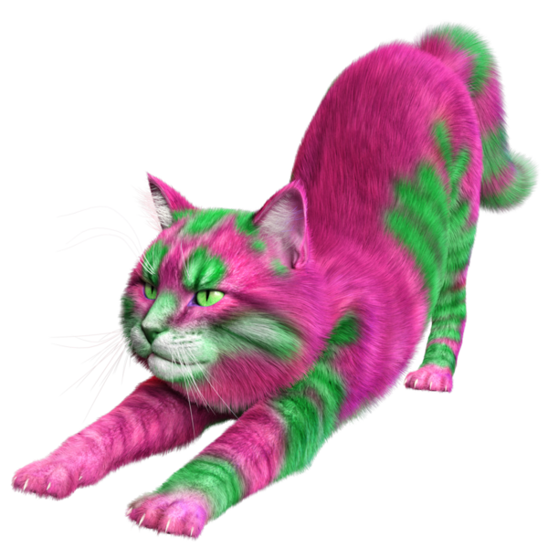 Saydam arka planda izole edilmiş 3 boyutlu fantezi renkli kedi
