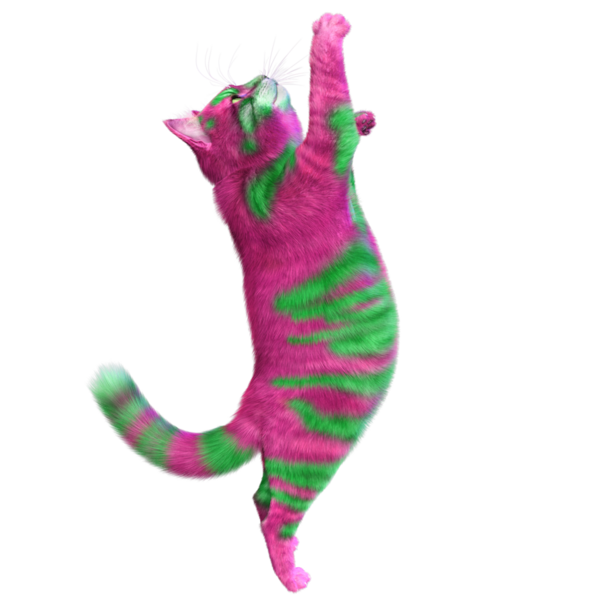 Saydam arka planda izole edilmiş 3 boyutlu fantezi renkli kedi