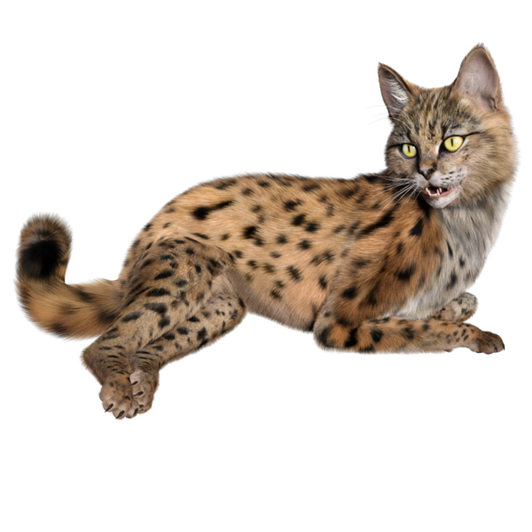 3 Boyutlu sevimli Savannah kedisi şeffaf arka planda izole edilmiş