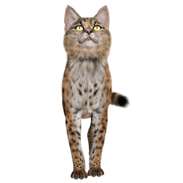3 Boyutlu sevimli Savannah kedisi şeffaf arka planda izole edilmiş