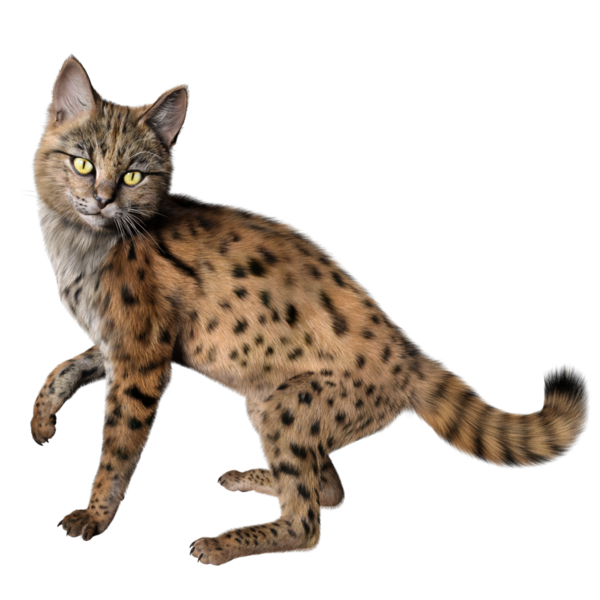 3 Boyutlu sevimli Savannah kedisi şeffaf arka planda izole edilmiş