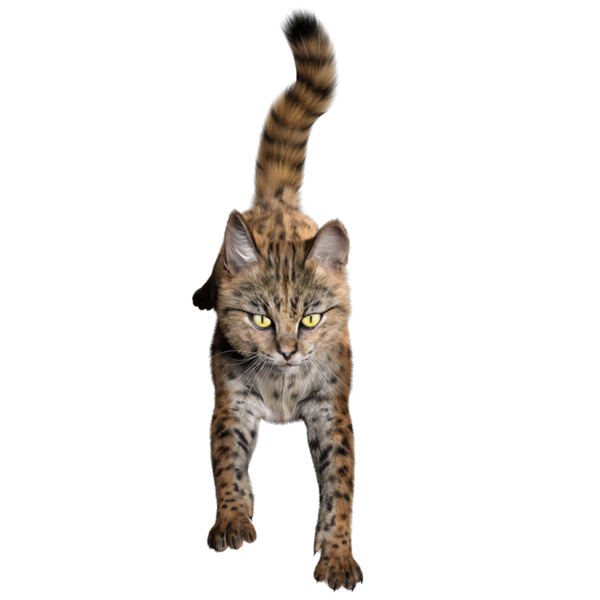 3 Boyutlu sevimli Savannah kedisi şeffaf arka planda izole edilmiş