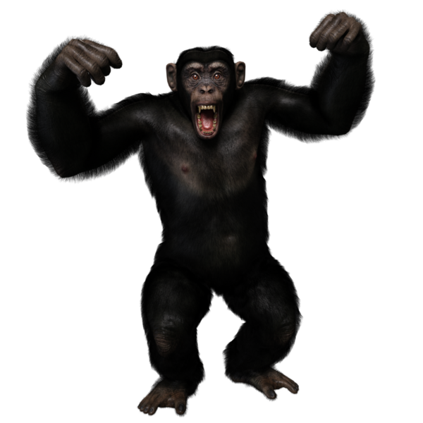 3 boyutlu, şeffaf bir arkaplanda izole edilmiş sevimli bir şempanzenin çizimi.